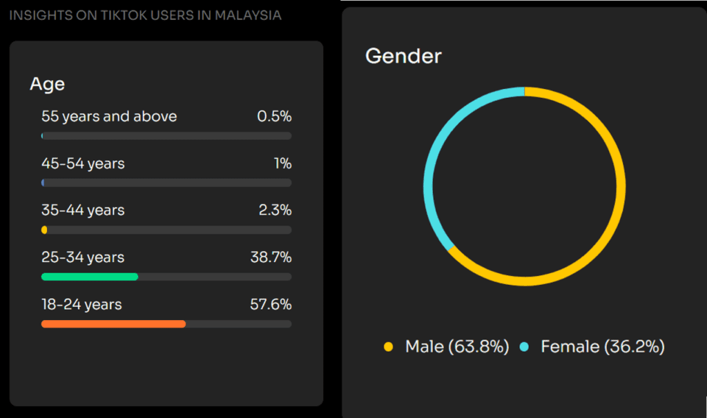 TikTok demographic stats in Malaysia.